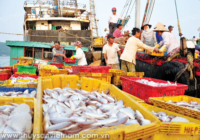 hội nghề cá việt nam nhiều biện pháp hỗ trợ nông ngư dân